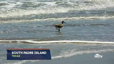 Island Life S10E13