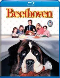 Beethoven (1992)