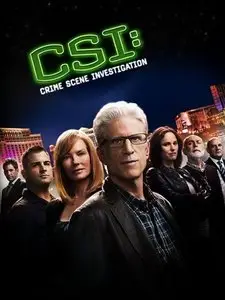 CSI: Crime Scene Investigation S12E11 "Ms. Willows Regrets"