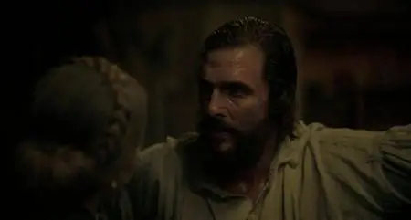 Free State of Jones (2016)