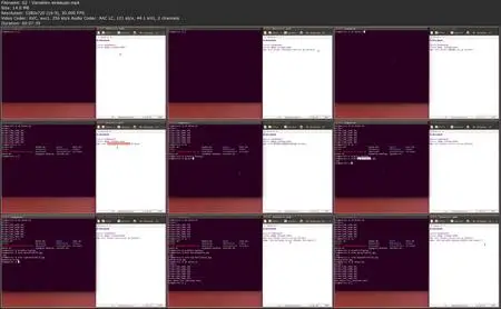 Bash-Shell-Scripting lernen