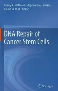 DNA Repair of Cancer Stem Cells (Repost)