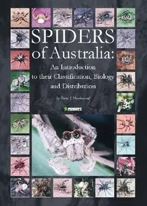 Spiders of Australia: an introduction to their classification, biology and distribution [Repost]