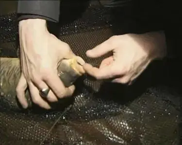 Carp fishing with L.Dale (2001) DVDRip XviD