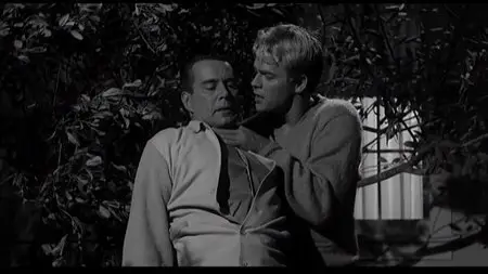 Kitten with a Whip (1964) [ReUp]