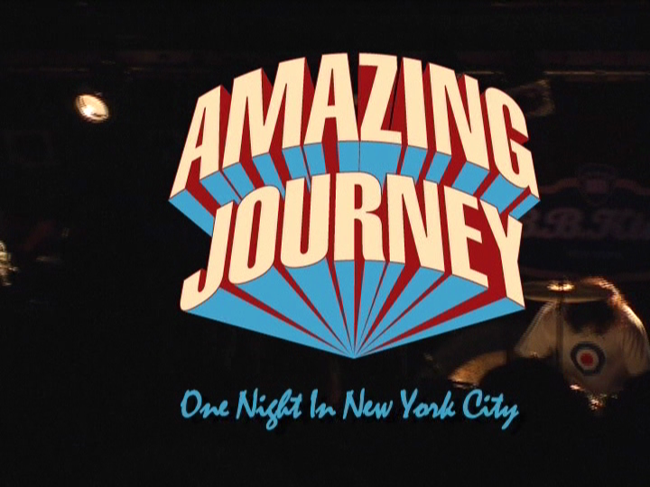amazing journey one night in new york city