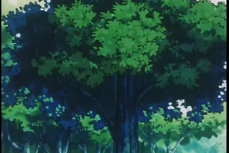 Hunter x Hunter (1999 S01E22 022 Found Him x Hide x Catch Up! judo