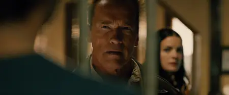 The Last Stand (2013) [MultiSubs]