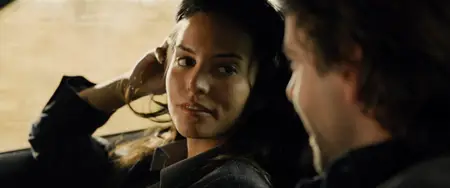 The Last Stand (2013) [MultiSubs]