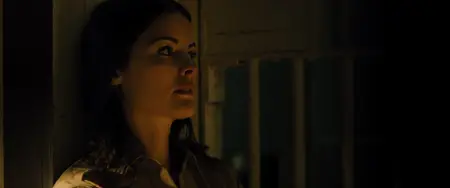 The Last Stand (2013) [MultiSubs]