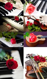 Musical instruments and roses, guitar, violin, piano