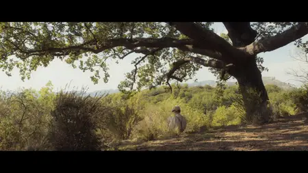 Le temps des secrets / The Time of Secrets (2021)