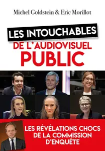 Michel Goldstein, Éric Morillot, "Les intouchables de l'audiovisuel public: Les révélations chocs de la commission d'enquête"