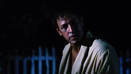 The Parade (1984)