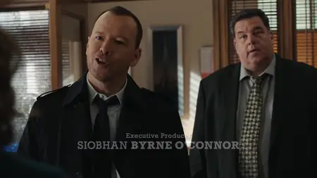 Blue Bloods S08E21