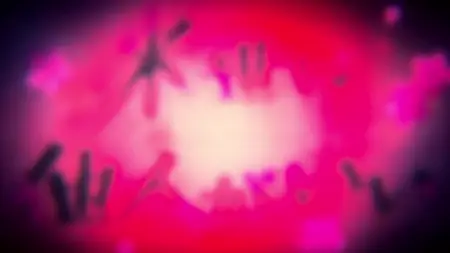 yakuza fiance raise wa tanin ga ii s01e08