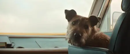 Finch (2021)