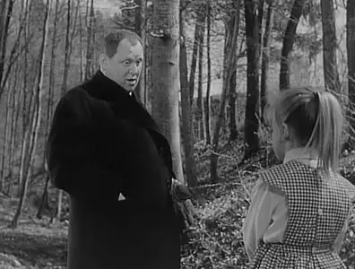 It Happened in Broad Daylight / Es geschah am hellichten Tag (1958)