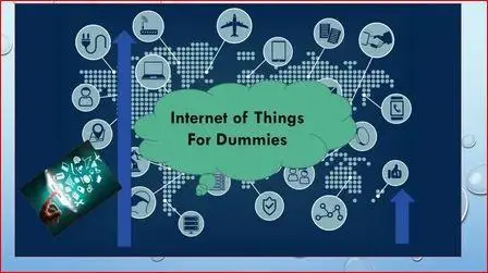 Internet of Things for Dummies