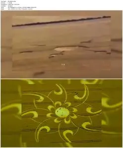 Crop Circle Realities (2021)