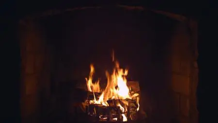 BluScenes: The Classic Fireplace (2009)