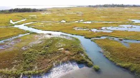 PBS - Treasures of New York: A World Within a World:-The Bay Houses of Long Island (2021)