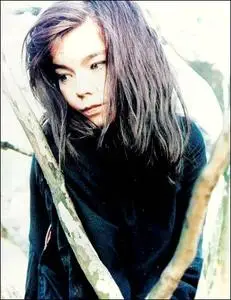 Bjork - Gallery