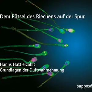 «Dem Rätsel des Riechens auf der Spur» by Hanns Hatt,Klaus Sander