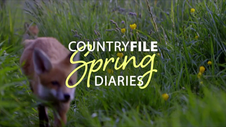 BBC - Countryfile: Spring Diaries (2016)