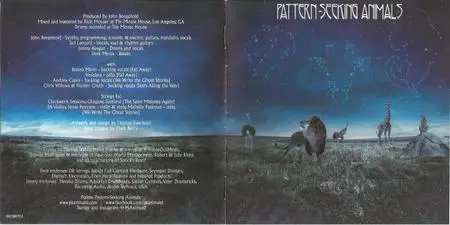 Pattern-Seeking Animals - Pattern-Seeking Animals (2019)