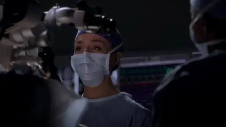 Grey's Anatomy S11E14