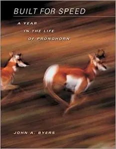 Built for Speed: A Year in the Life of Pronghorn (Repost)