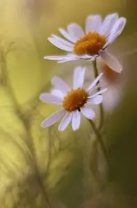 Фотограф Mycatherina Katka