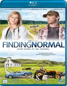 Finding Normal (2013)