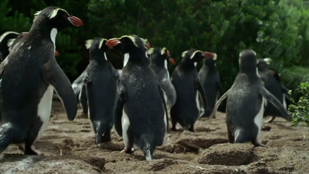 BBC - New Zealand: Earth's Mythical Islands (2016)