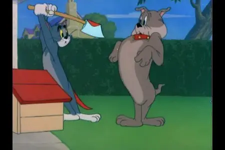 Tom & Jerry's Greatest Chases, Vol. 5 (2010)