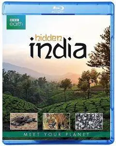 BBC Earth - Hidden India (2016)