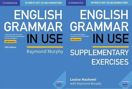 english grammar in use supplementary exercises pdf