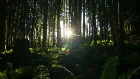 unReal (2015)