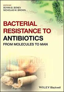 Bacterial Resistance to Antibiotics: From Molecules to Man