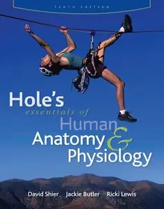 Hole's Essentials of Human Anatomy & Physiology (Repost)