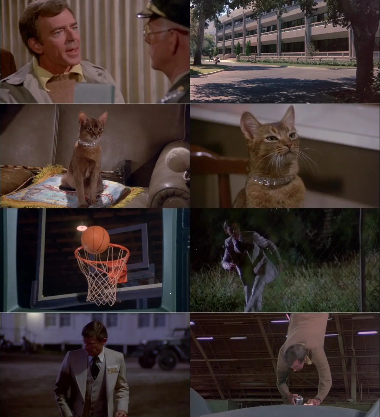The cat from outer space 1978 avaxhome
