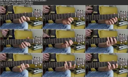 Acoustic Guitar System | Melodic Guitar Lessons for Beginner