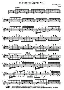 PaganiniN - 24 Caprices for Solo Violin: 01