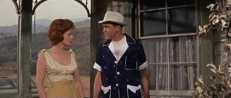 Mr. Hobbs Takes a Vacation (1962)