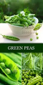 Stock Photo - Green Peas