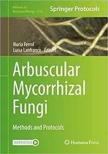 Arbuscular Mycorrhizal Fungi: Methods and Protocols