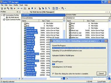 Auto FTP Manager 5.17 