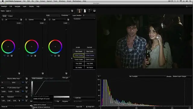 Baselight Avid 4.3.5706