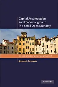 Capital Accumulation and Economic Growth in a Small Open Economy (Repost)